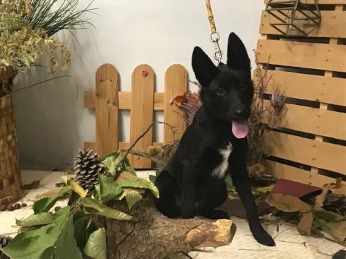esperance (en cours d'adoption)