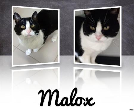 Malox