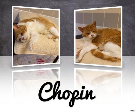Chopin