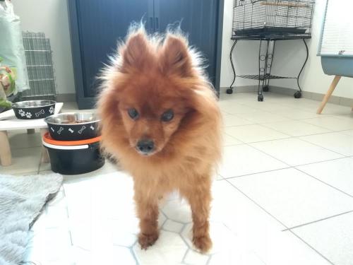 AIDA QCN (adoptée)