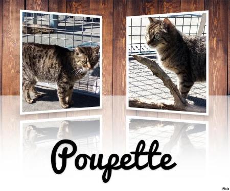 Poupette
