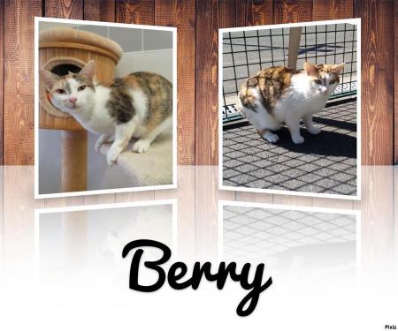 Berry