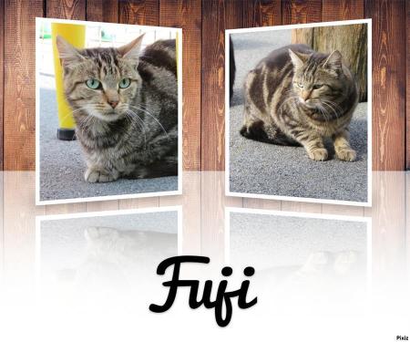 Fuji