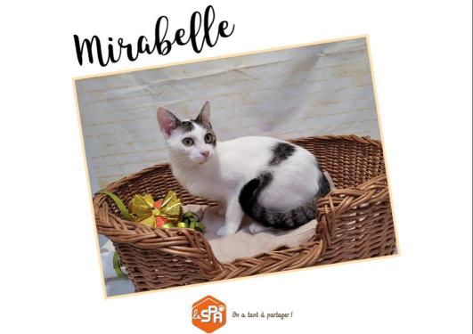 MIRABELLE