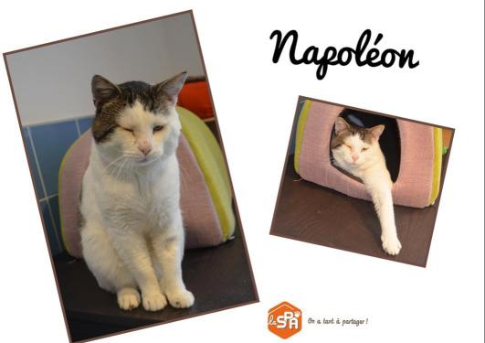 NAPOLEON (Réservé)