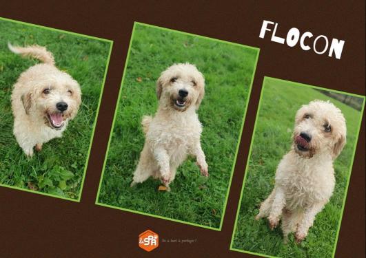 FLOCON réservé