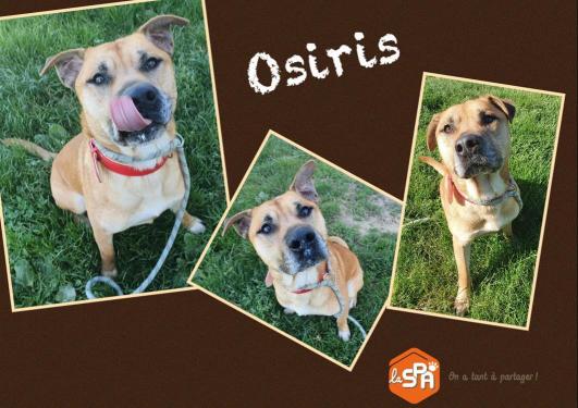 OSIRIS