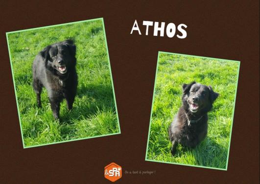 ATHOS ( Réservé) 