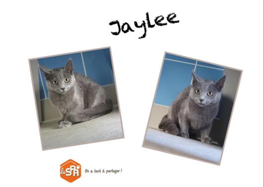JAYLEE