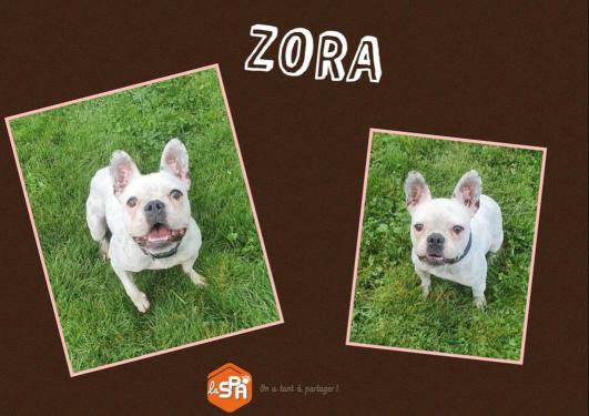 ZORA (Réservée)