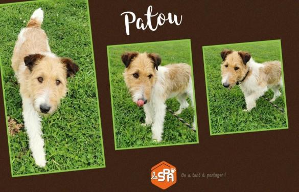 PATOU